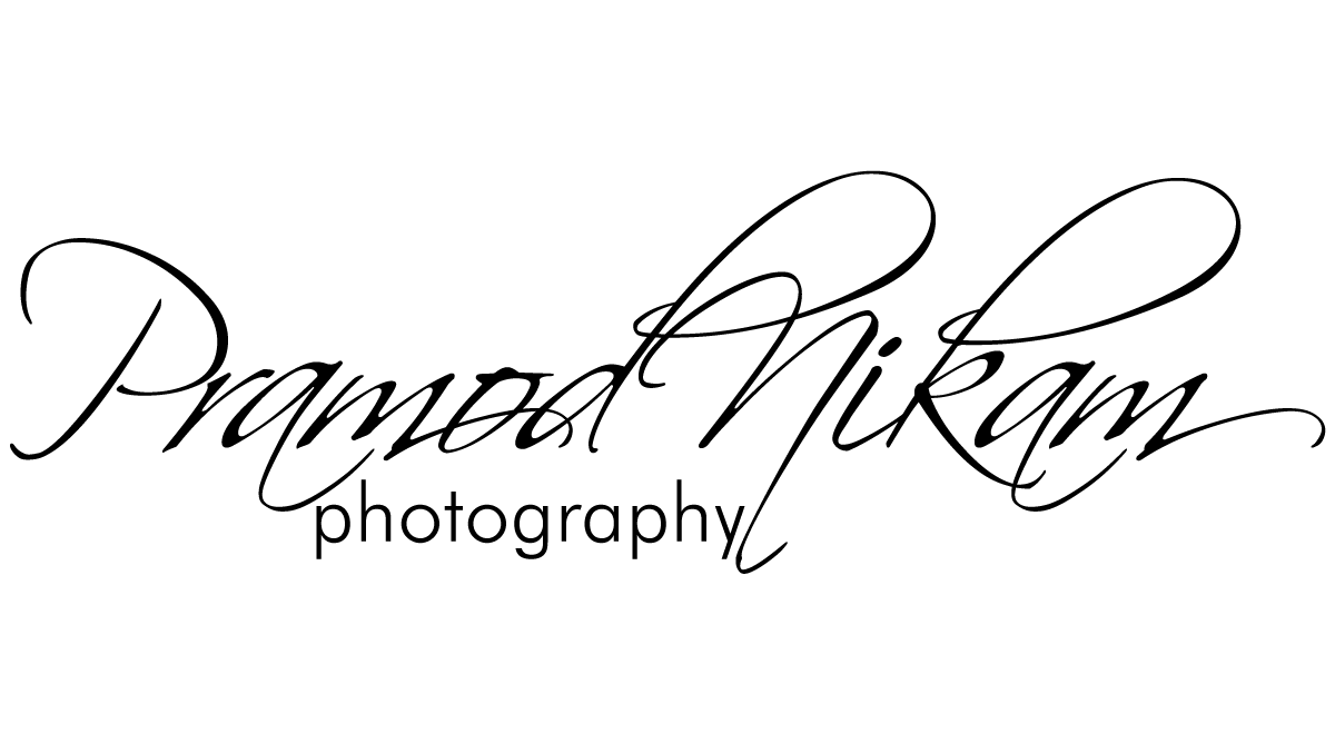pramodnikam logo